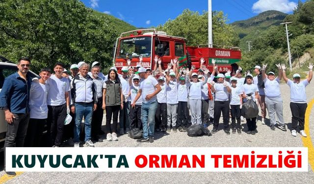 Kuyucak'ta orman temizliği