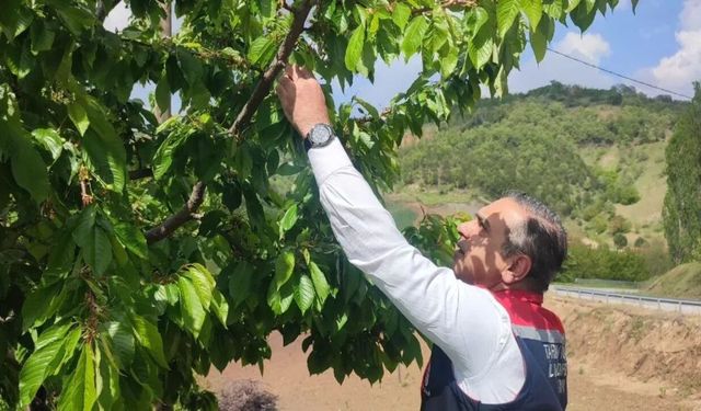 Müdür Temiz'den Kuyucak'a ziyaret