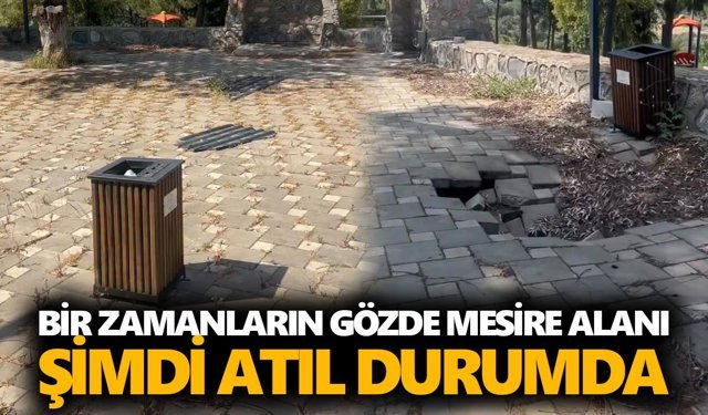 Mursallı’nın simgesi Şahin Tepesi kaderine terk edildi