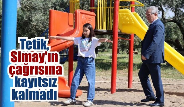 Nazillili Simay istedi, Tetik harekete geçti