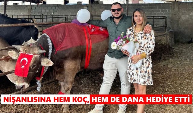 Nişanlısına hem koç, hem de dana hediye etti