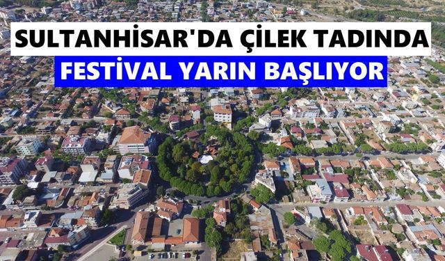 Sultanhisar'da çilek tadında festival yarın başlıyor