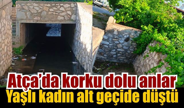 Sultanhisar’da talihsiz Olay: Yaşlı kadın ağır yaralandı