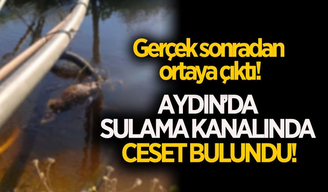Aydın'da sulama kanalında ceset bulundu!