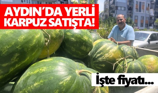 Aydın’da yerli karpuz satışta! İşte fiyatı