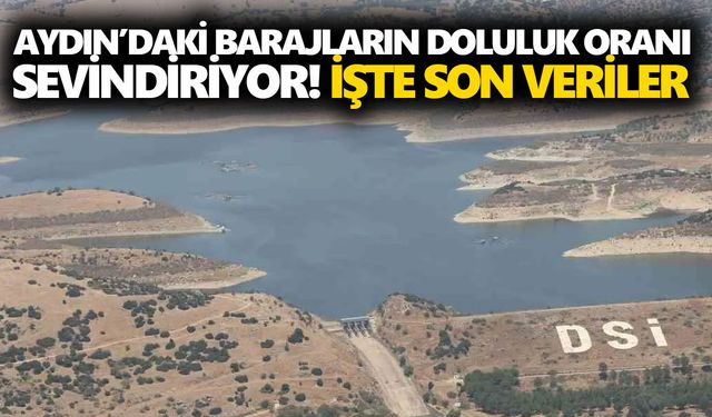 Aydın’daki barajların doluluk oranı sevindiriyor! İşte son veriler