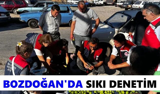 Bozdoğan'da sıkı denetim