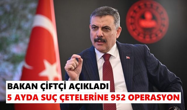Çizgi film isimli çetelere büyük darbe: 5 ayda 952 operasyon