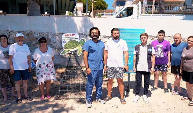 Didim’in kıyıları yeni canlara ev sahipliği yapıyor
