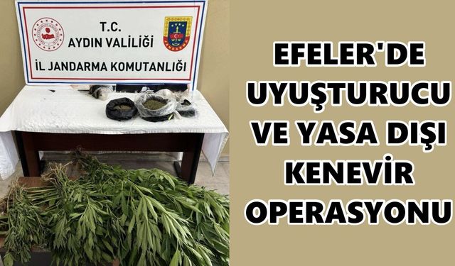Efeler'de şok baskın: Evden uyuşturucu, kenevir ve silah çıktı