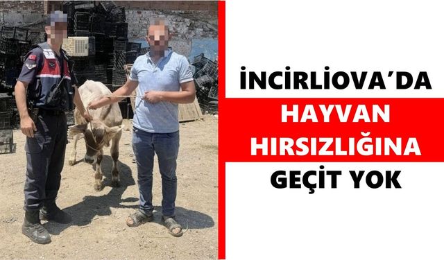 Jandarma iz sürdü, çalınan büyükbaş hayvan saatler içinde bulundu