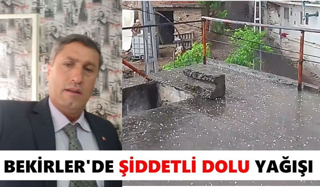 Muhtar Budak: İncir ağaçlarında hasar olabilir