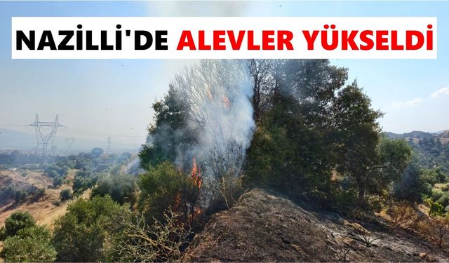 Nazilli'de alevler yükseldi: Helikopter destekli müdahale sürüyor