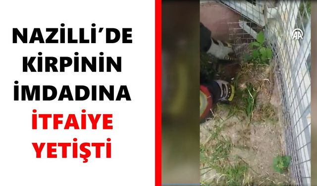 Nazilli’de kirpinin imdadına itfaiye yetişti