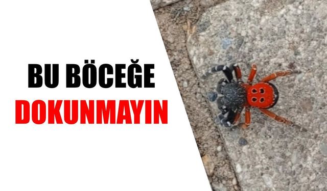 Nazilli'ye hayati uyarı