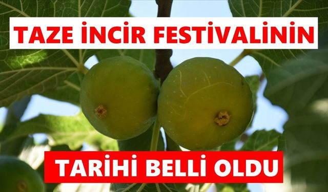 Türkiye'nin tek taze incir festivali için geri sayım başladı