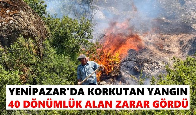 Yenipazar'da yangın paniği