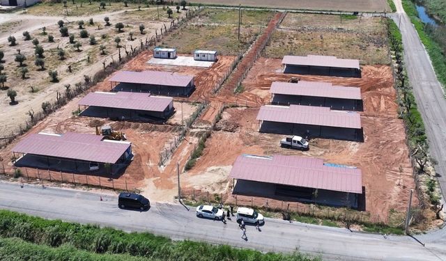 Başkan Yetişkin’den patili dostlara 26 bin metrekarelik yaşam alanı