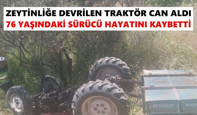 Zeytinliğe devrilen traktör can aldı: 76 yaşındaki sürücü hayatını kaybetti
