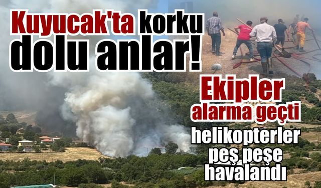 3 helikopter havalandı! Aydın'daki yangında acı bilanço