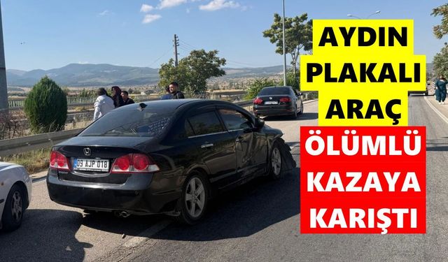 Aydın plakalı otomobilin karıştığı feci kaza can aldı