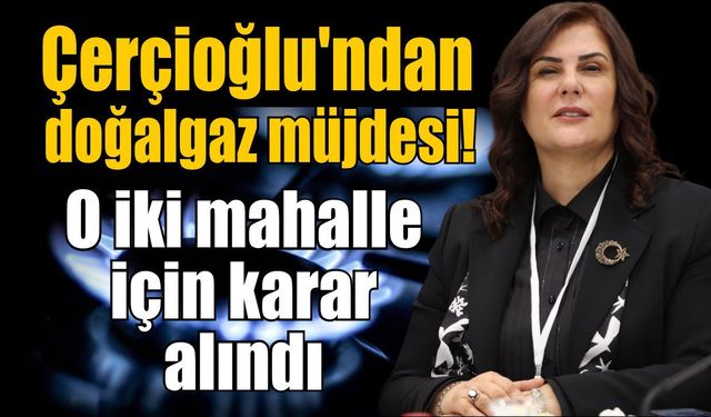 Aydın'da beklenen karar çıktı! İki mahalleye doğalgaz geliyor