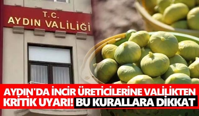 Aydın'da incir üreticilerine Valilikten kritik uyarı! Bu kurallara dikkat