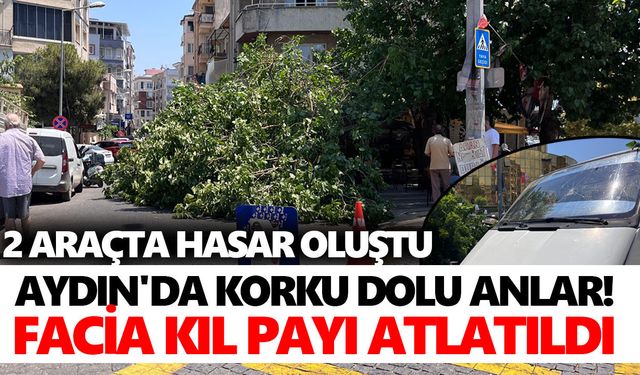 Aydın'da korku dolu anlar! Facia kıl payı atlatıldı