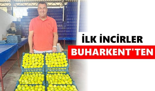 Aydın'da taze incir sezonu