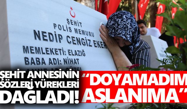 Aydınlı 15 Temmuz şehidi Eker'in annesi yürekleri dağladı!