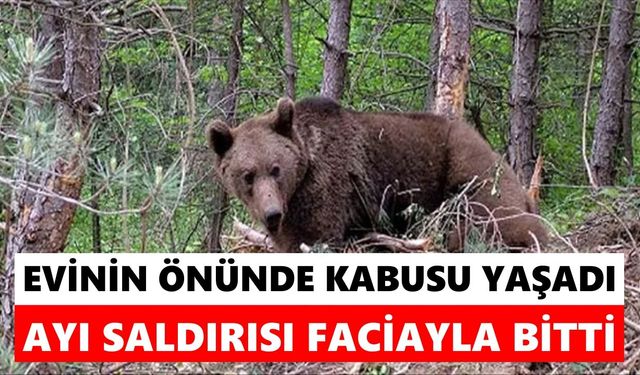 Ayı saldırısı can aldı: Evinin önünde uyurken hayatını kaybetti
