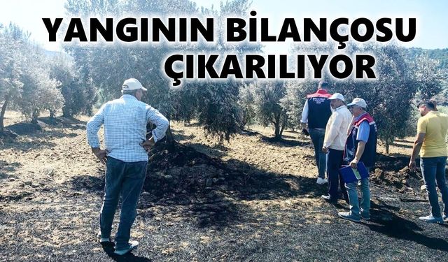 Bozdoğan'da tarımsal hasar için ekipler sahada