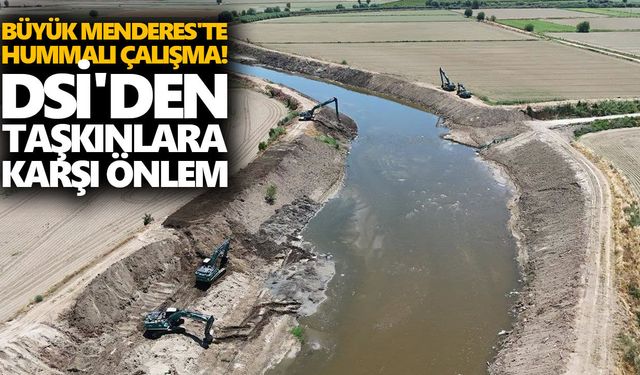 Büyük Menderes'te hummalı çalışma! DSİ'den taşkınlara karşı önlem