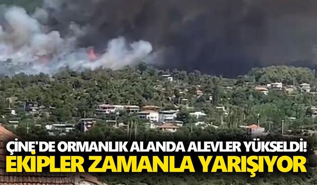 Çine'de ormanlık alanda alevler yükseldi! Ekipler zamanla yarışıyor