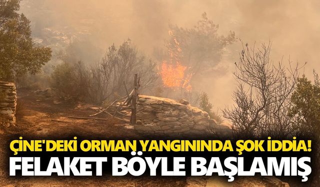 Çine'deki orman yangınında şok iddia! Felaket böyle başlamış