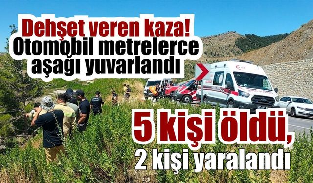Dehşet veren kaza! Otomobil metrelerce aşağı yuvarlandı