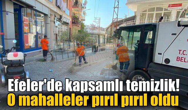 Efeler'de kapsamlı temizlik! O mahalleler pırıl pırıl oldu
