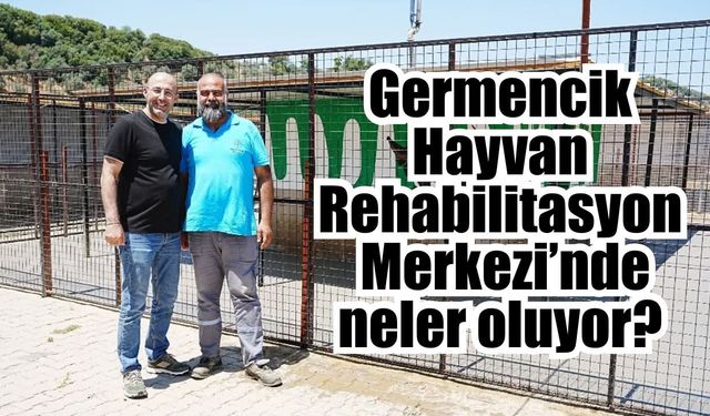 Germencik'te dikkat çeken hayvan barınağı hamlesi