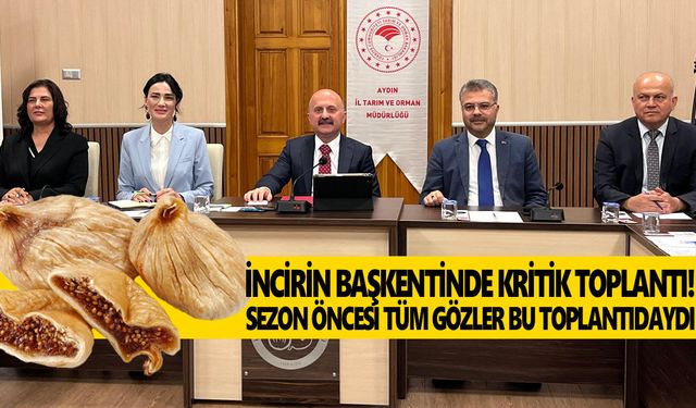 Aydın'dan dünyaya 42 bin ton! İncirde kritik sezon öncesi zirve