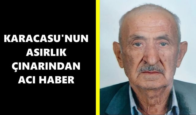 Karacasu'nun asırlık çınarından acı haber