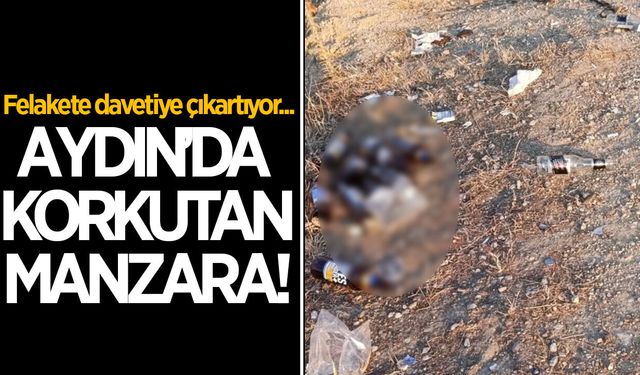 Aydın'da korkutan manzara! Felakete davetiye çıkarıyor