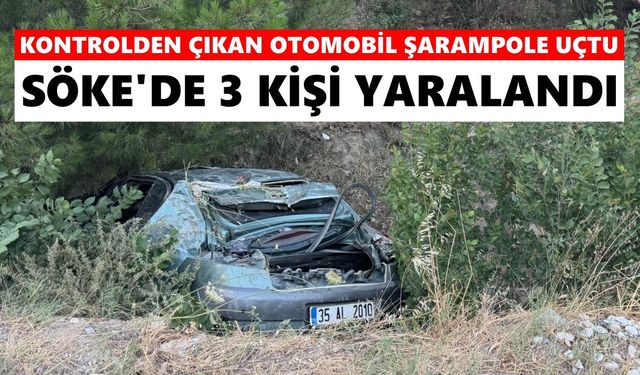Kontrolden çıkan otomobil şarampole uçtu: Söke'de 3 kişi yaralandı