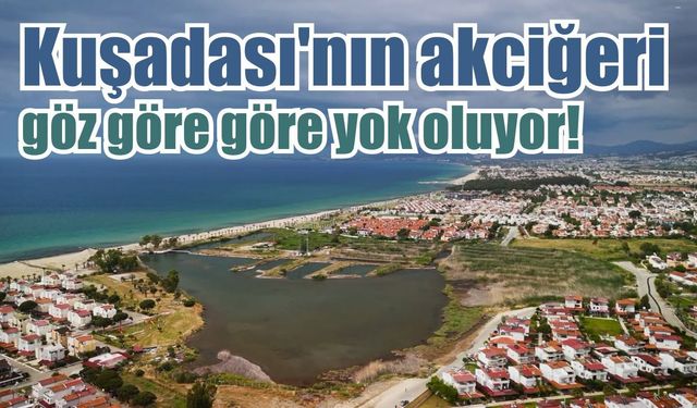 Kuşadası'nın son sulak alanı alarm veriyor!