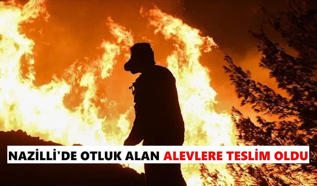 Nazilli’de otluk alan alevlere teslim oldu