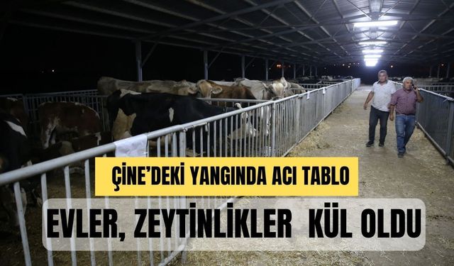 Aydın Çine'de alevlerle savaş sürüyor