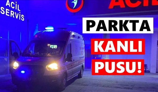 Parkta kanlı pusu