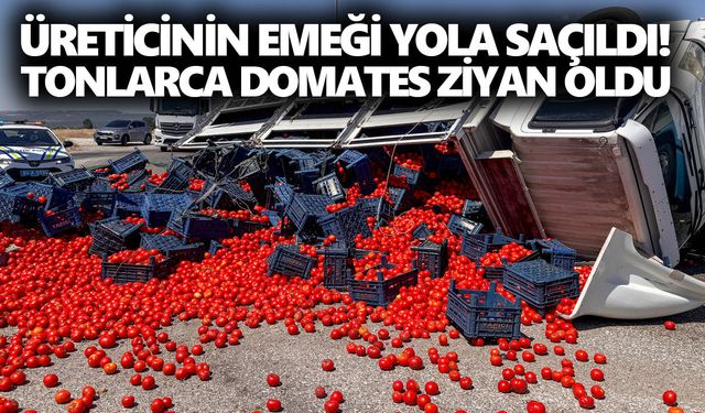 Üreticinin emeği yola saçıldı! Tonlarca domates ziyan oldu
