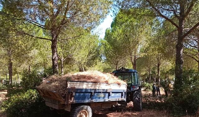 Yangın riskine karşı Didim'de seferberlik başladı