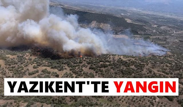 Bozdoğan Yazıkent'te yangın