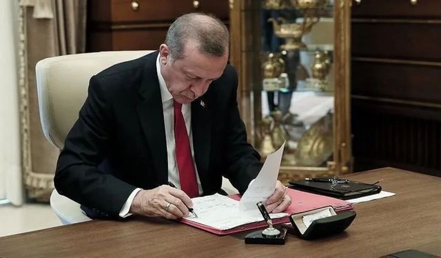 'Çerçeve Yasa' Resmi Gazete'de yayımlanarak yürürlüğe girdi